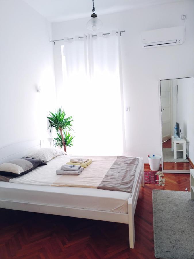 Cricket Park Hostel Belgrad Exterior foto